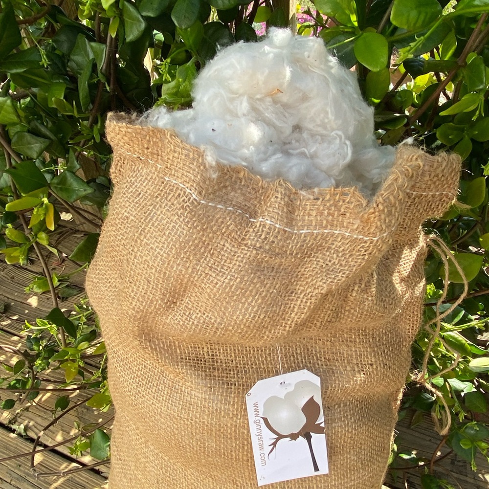 Raw Cotton - Picture 3 of 4
